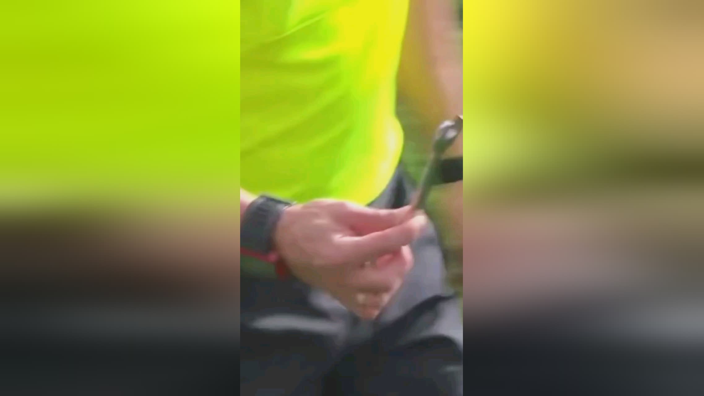 皮尔斯的